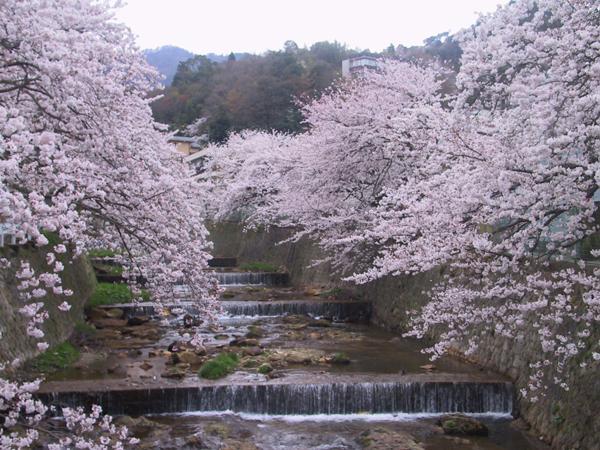 ホテル 有馬温泉　角の坊 神戸市 エクステリア 写真